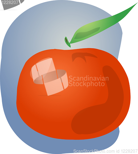 Image of Tangerine fruit illustration