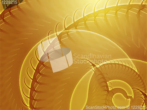 Image of Swirling spiral fronds abstract
