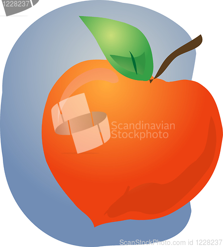 Image of Peach fruit illustration