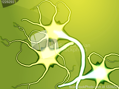 Image of Nerve cells illustration