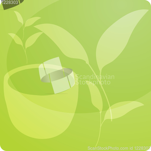 Image of Green tea illustration