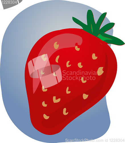Image of Strawberry fruit illustration