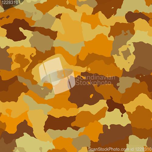 Image of Camouflage pattern