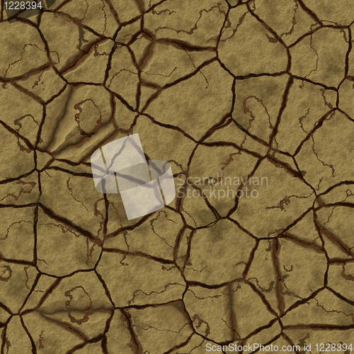 Image of Cracked earth