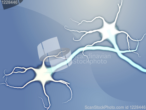Image of Neuron nerve cells