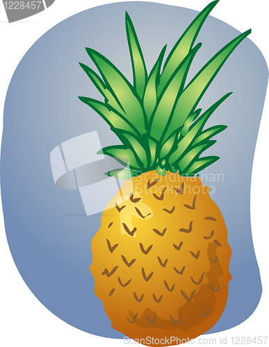 Image of Pineapple fruit illustration