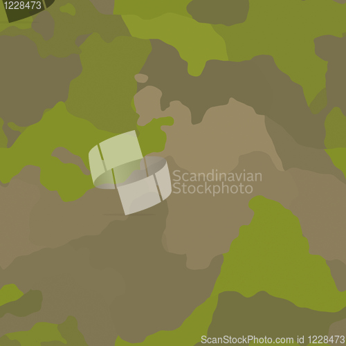 Image of Camouflage pattern