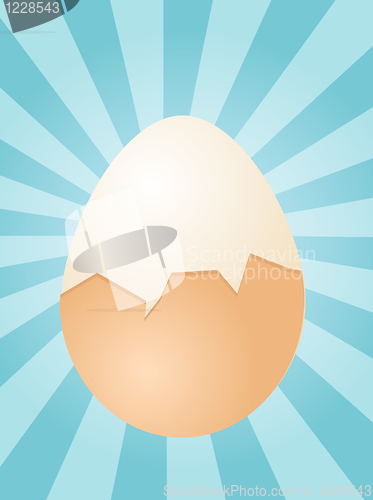 Image of Egg illustration