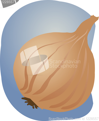 Image of Onion illustration