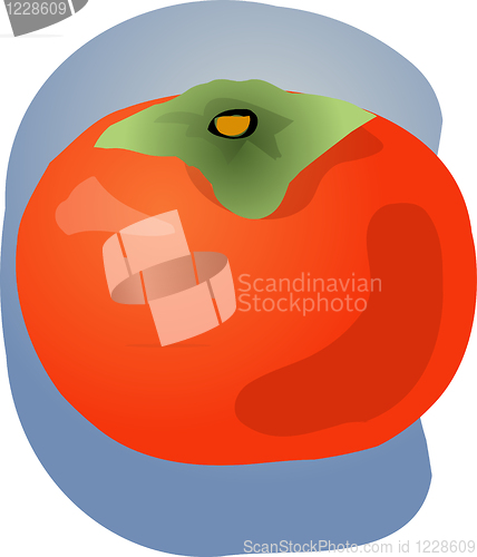 Image of Persimmon fruit illustration