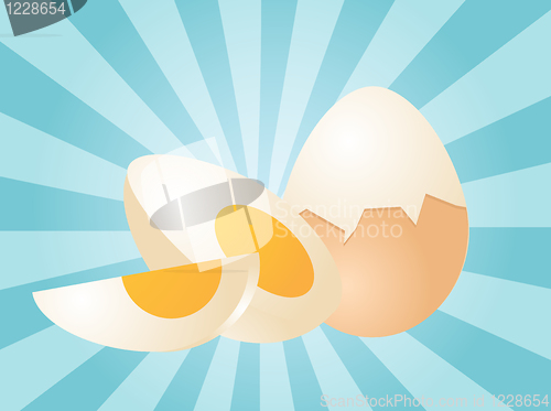 Image of Egg illustration