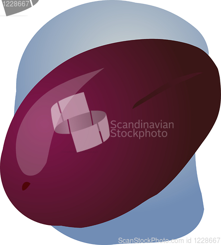 Image of Plum fruit illustration