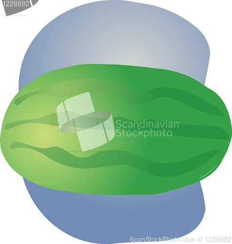 Image of Watermelon fruit illustration