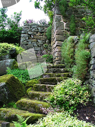 Image of Garden steps