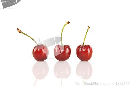 Image of Sweet red cherries isolated on white background