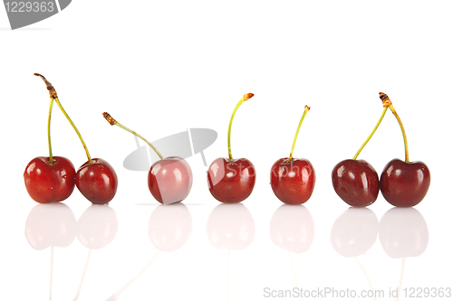 Image of Sweet red cherries isolated on white background