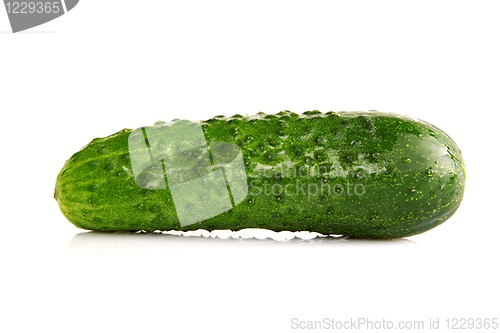 Image of Fresh green Cucumber on white background