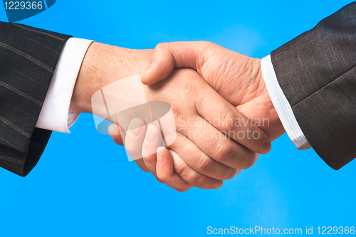 Image of Handshake