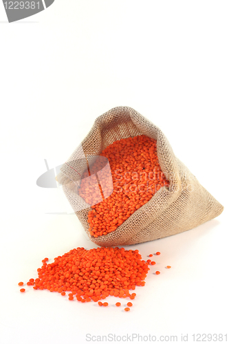 Image of Red Lentils