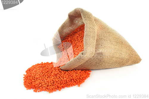 Image of Red Lentils