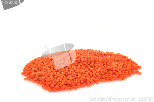 Image of Red Lentils