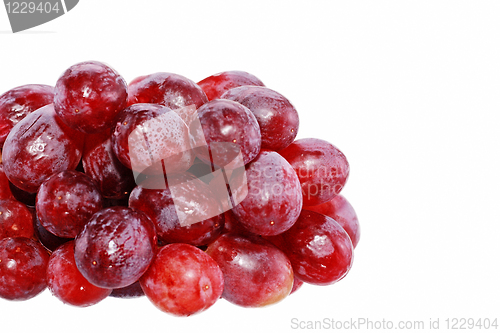 Image of Perfect bunch of red grapes isolated on white background 