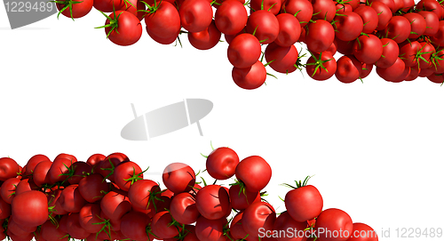Image of Tasty red Tomatoes isolated on white