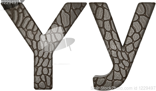 Image of Alligator skin font Y lowercase and capital letters