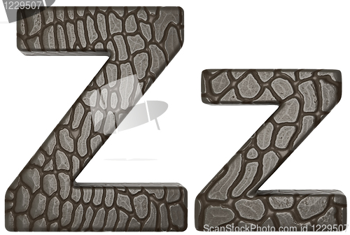 Image of Alligator skin font Z lowercase and capital letters