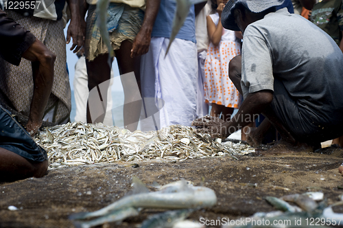 Image of Sri Lankan fishermans