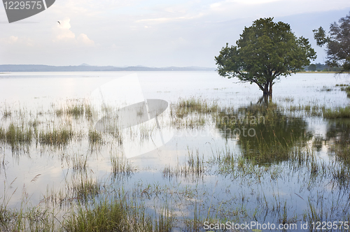 Image of Tropical landscape 