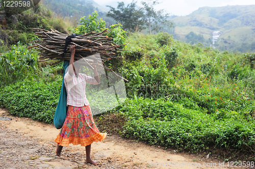 Image of Girl with firewoods