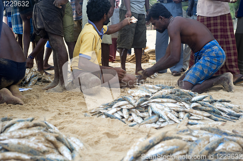 Image of Sri Lankan fishermans