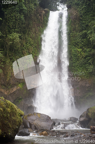 Image of Gitgit Waterfall 