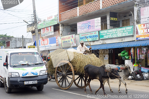 Image of Sri Lankan traffic