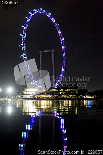 Image of Singapore Flyer at Night