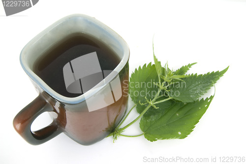 Image of Herbal tea and  nettle