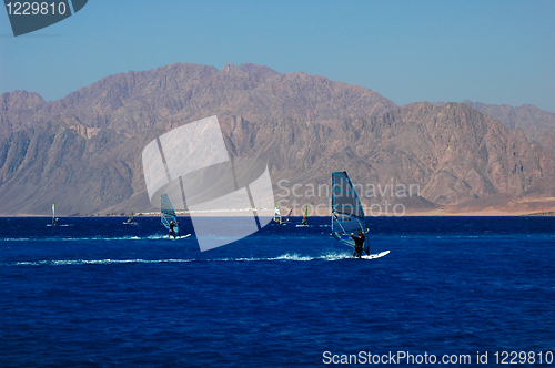 Image of Sailing race