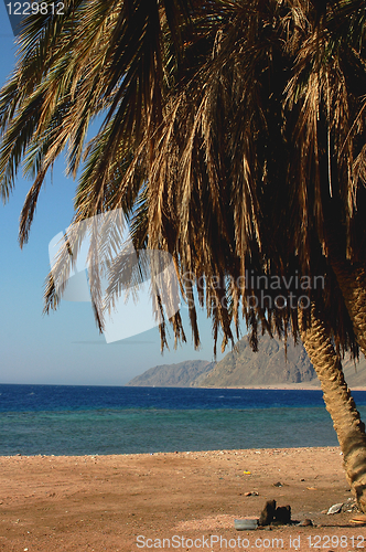 Image of Landscape on beach