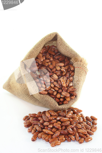 Image of Pinto beans