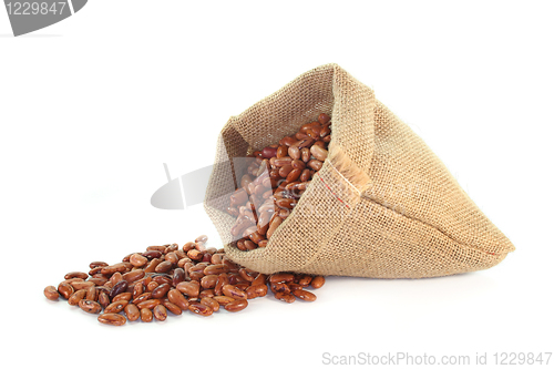 Image of Pinto beans