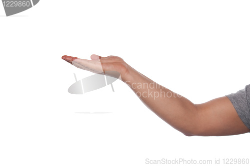 Image of Holding Up an Empty Hand