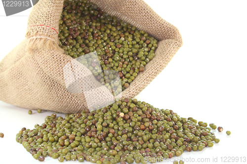 Image of Mungo beans