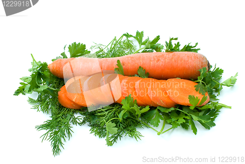 Image of Whole carrot and few slices over some dill and parsley