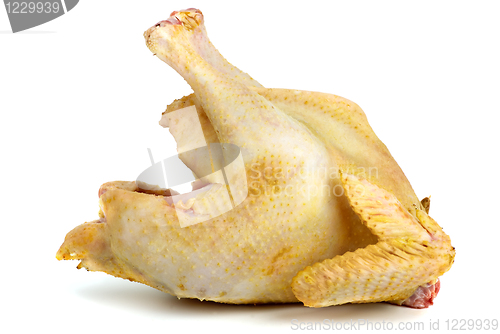 Image of Raw chicken