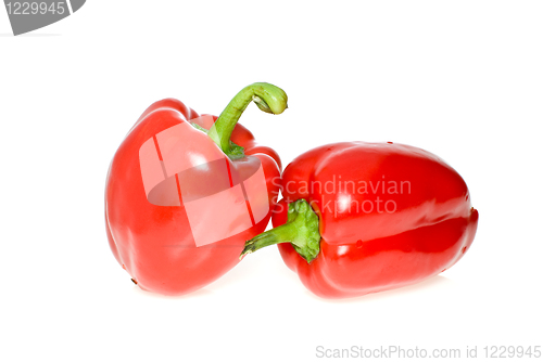 Image of Two red sweet peppers