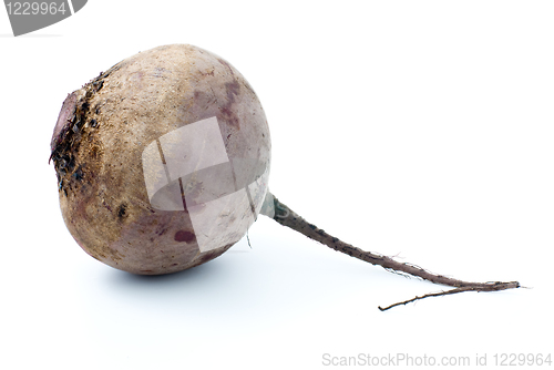 Image of Red beet