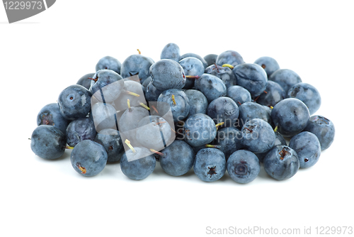Image of Small pile of billberries