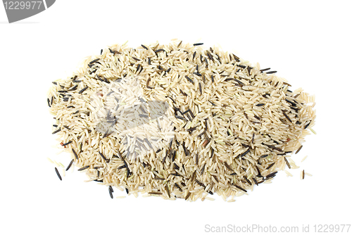 Image of Pile of mixed (cultivated and wild) rice grains