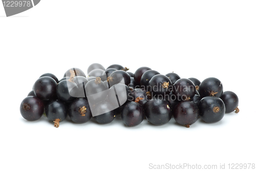 Image of Small pile of blackcurrant berries